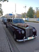 武汉结婚租豪华婚礼车队接亲婚车就到大唐朝